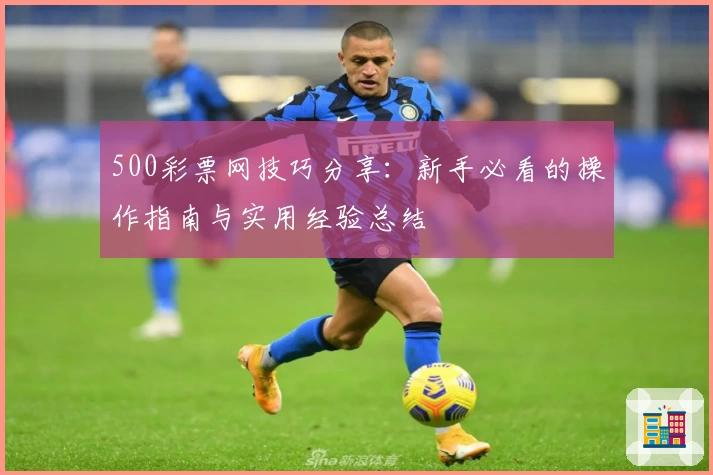500彩票网技巧分享：新手必看的操作指南与实用经验总结