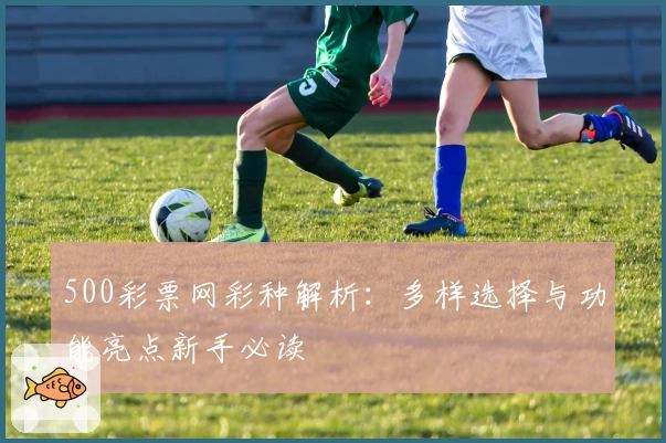 500彩票网彩种解析:多样选择与功能亮点新手必读
