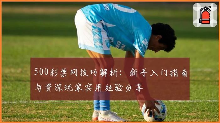 500彩票网技巧解析：新手入门指南与资深玩家实用经验分享
