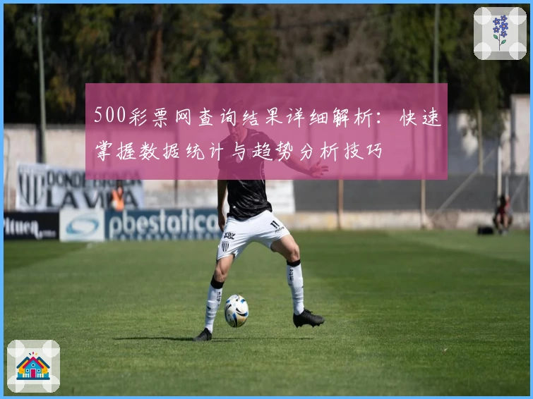 500彩票网查询结果详细解析：快速掌握数据统计与趋势分析技巧