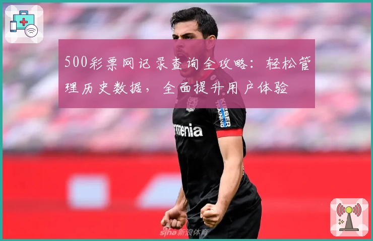500彩票网记录查询全攻略：轻松管理历史数据，全面提升用户体验